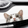 PEEKING CAT Sticker