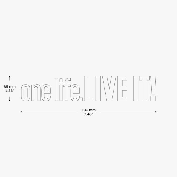 One Life Live It Sticker - Image 3