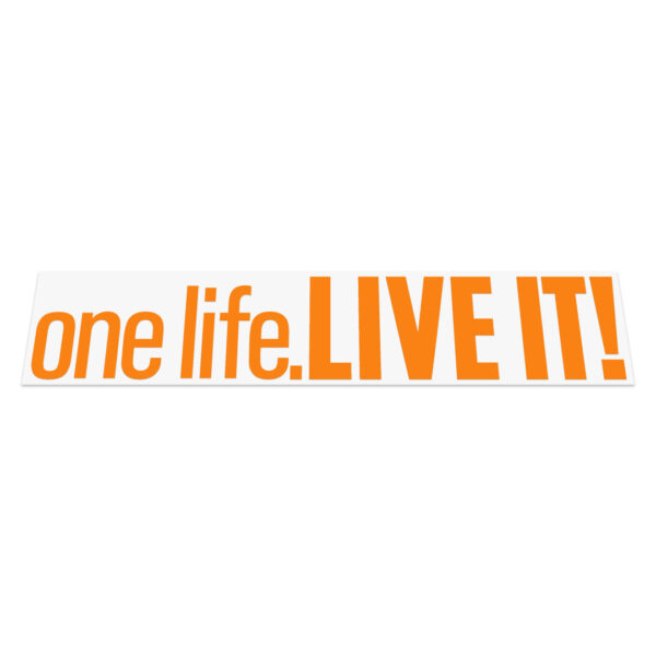 One Life Live It Sticker